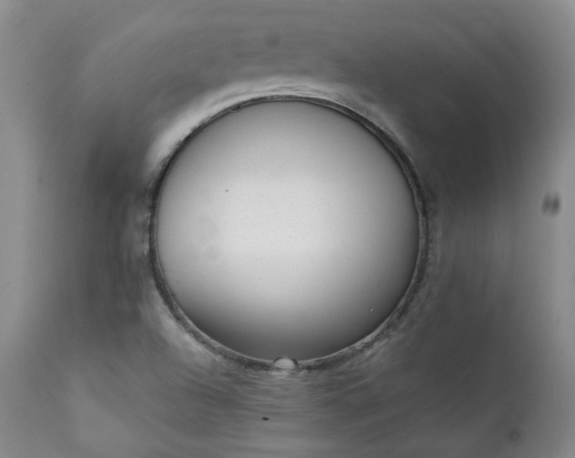 X0000111351504200907241146