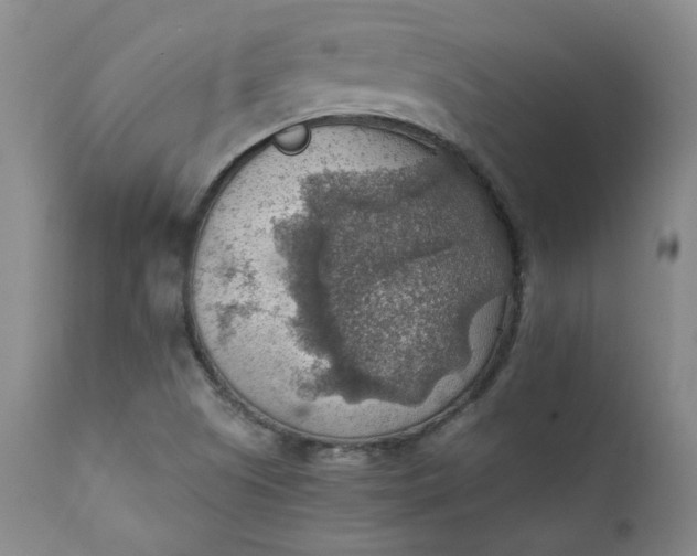 X0000111351505200907241146