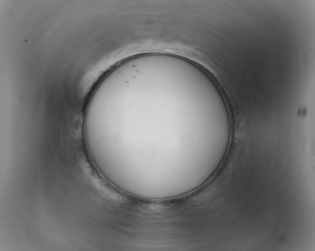 X0000111351507200907241146