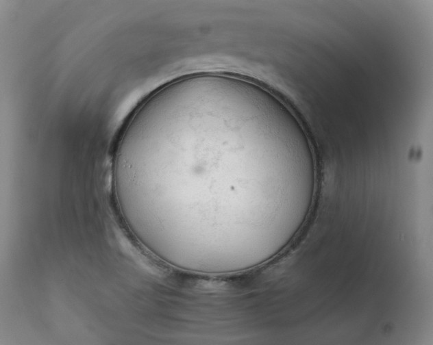 X0000111351509200907241146