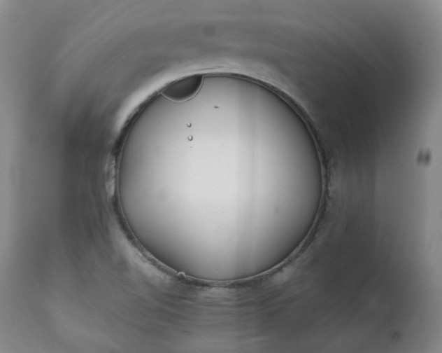 X0000111351510200907241146