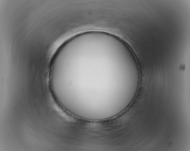 X0000111351511200907241146