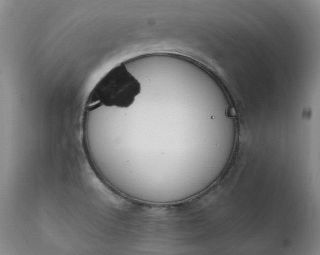 X0000111351512200907241146