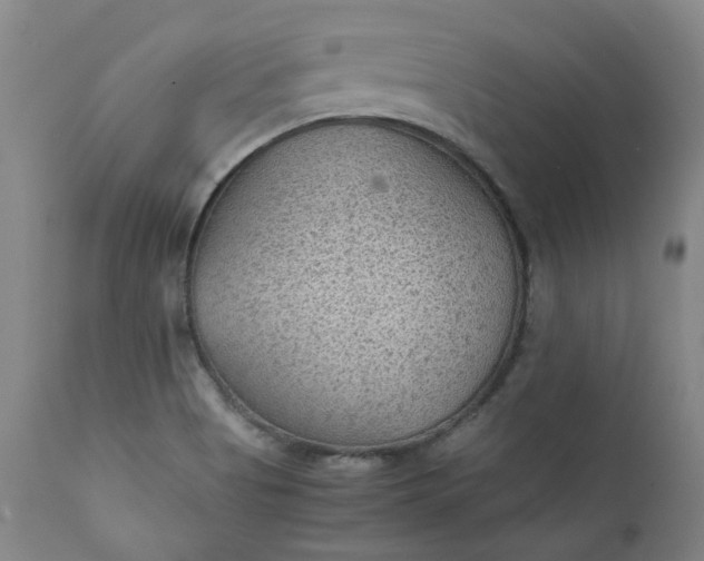 X0000111351513200907241146