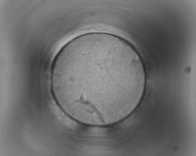 X0000111351514200907241146