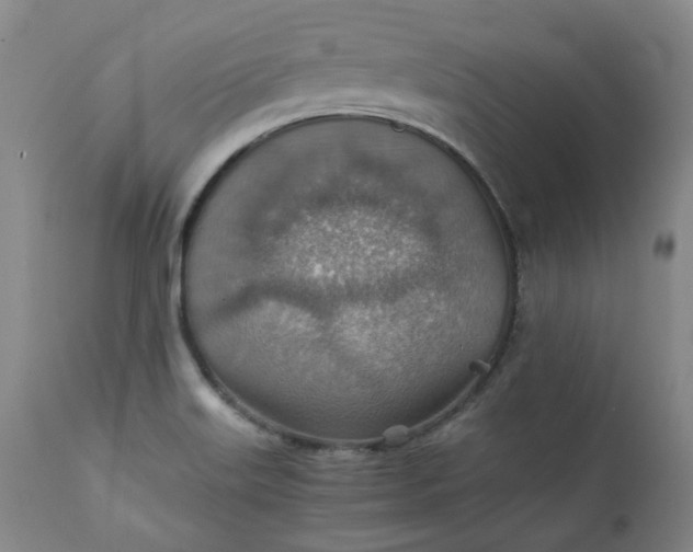 X0000111351515200907241146