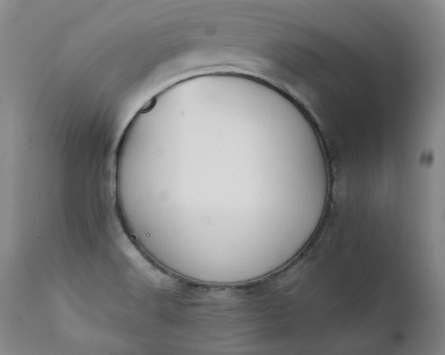 X0000111351516200907241146