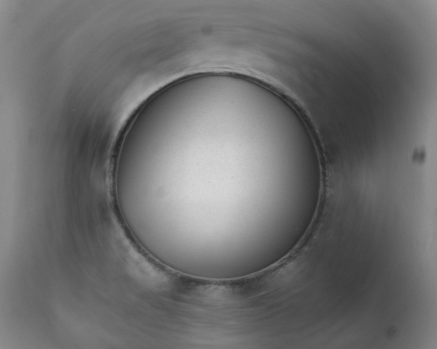 X0000111351517200907241146