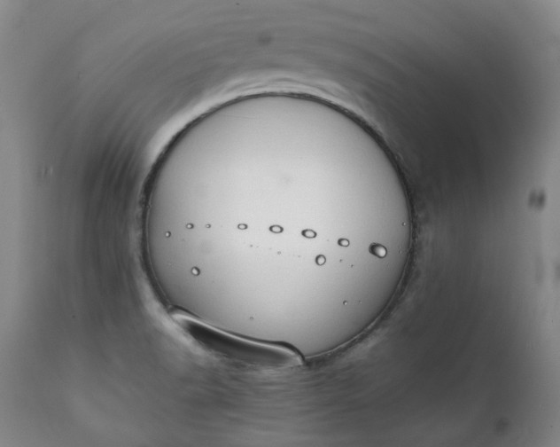 X0000111351518200907241146