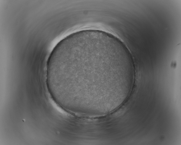 X0000111351519200907241146