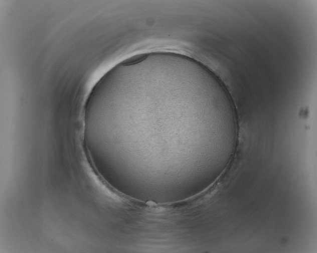 X0000111351520200907241146