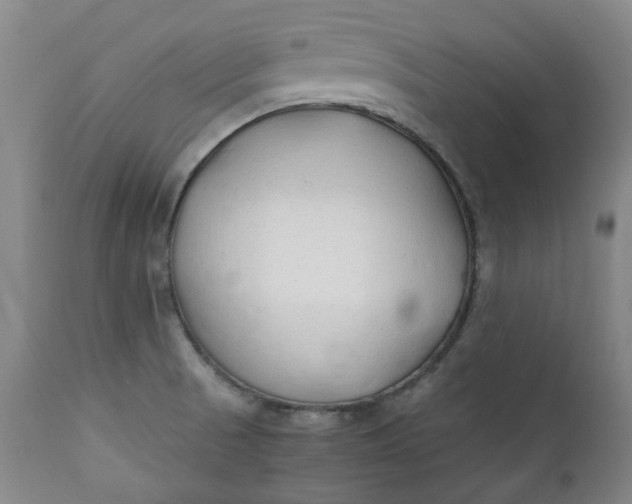 X0000111351521200907241146