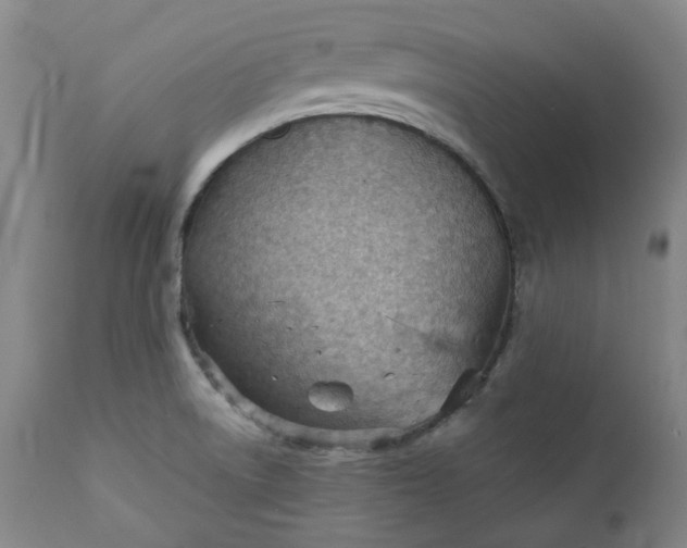 X0000111351522200907241146