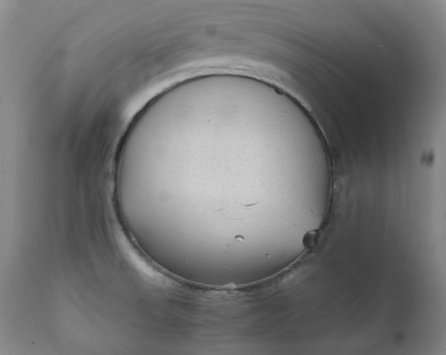 X0000111351523200907241146