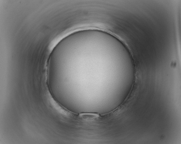 X0000111351524200907241146