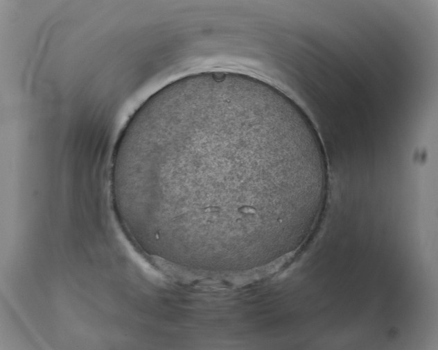 X0000111351525200907241146