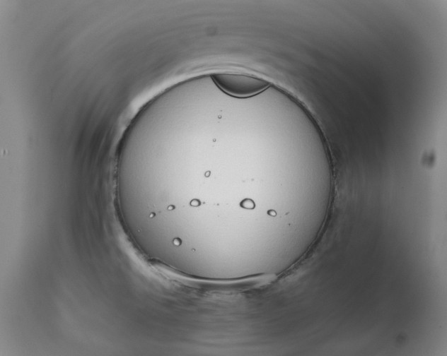 X0000111351526200907241146