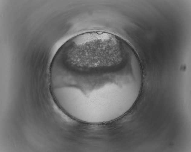 X0000111351527200907241146