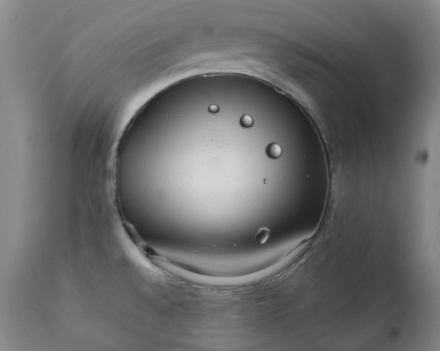 X0000111351528200907241146