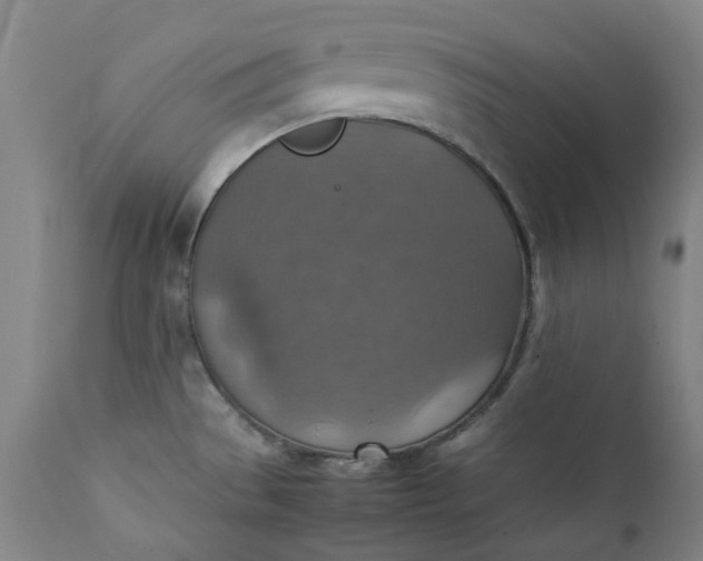 X0000111351529200907241146