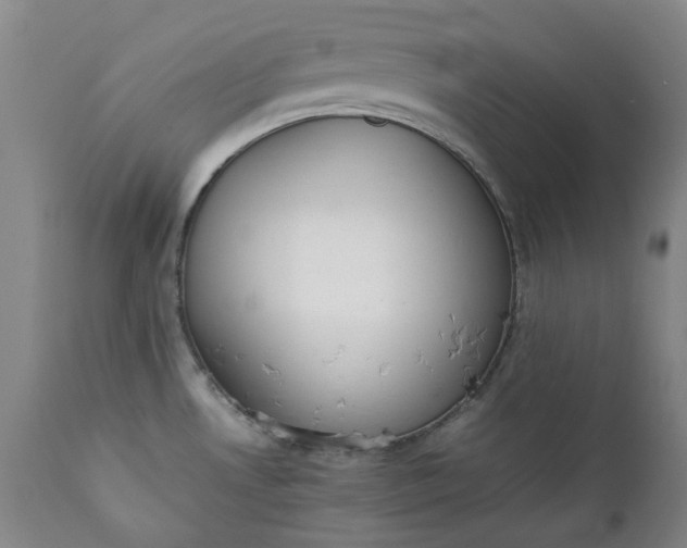 X0000111351530200907241146