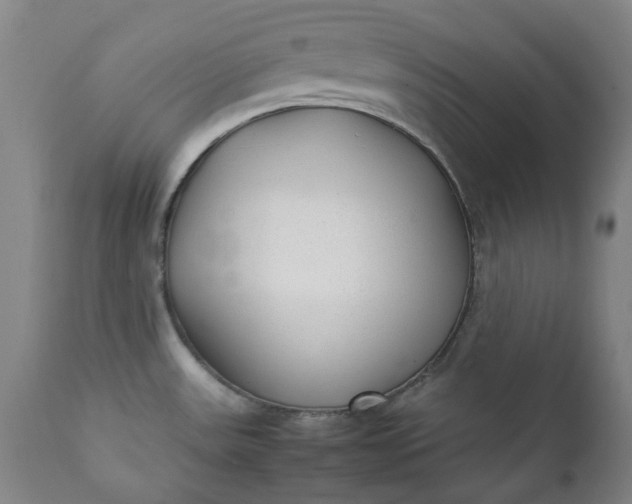 X0000111351531200907241146