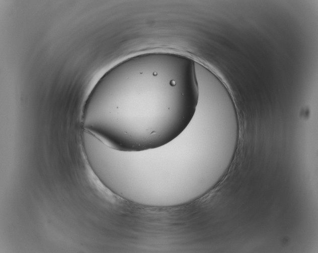 X0000111351532200907241146