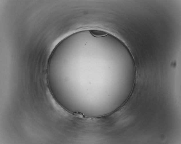 X0000111351534200907241146