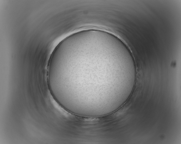 X0000111351535200907241146