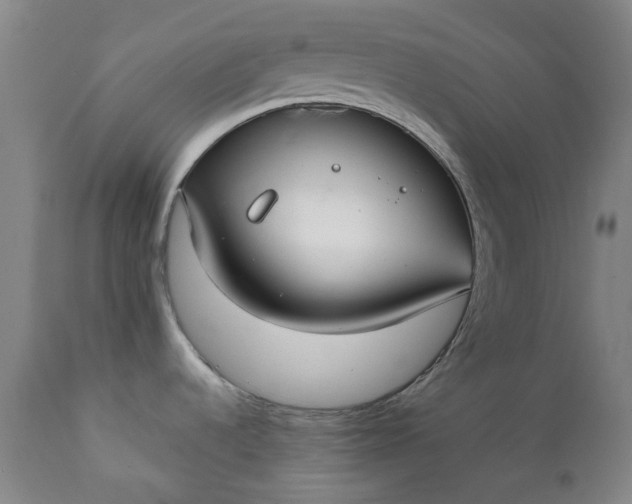 X0000111351536200907241146