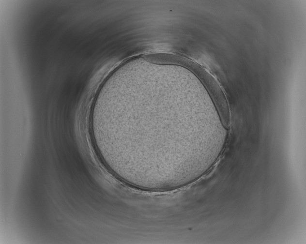 X0000111350001200907311002