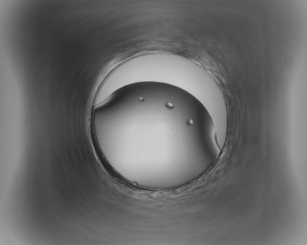 X0000111350003200907311001