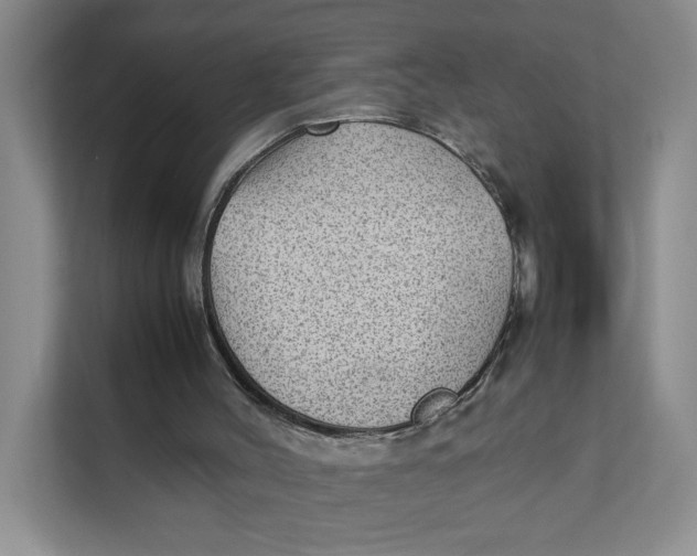 X0000111350004200907311001