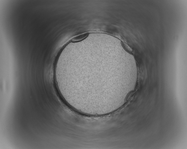 X0000111350005200907311001