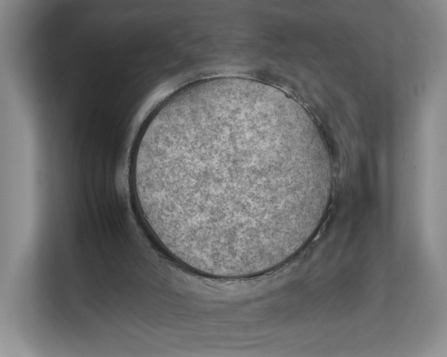 X0000111350006200907311001