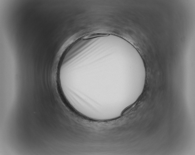 X0000111350007200907311001