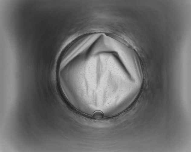 X0000111350008200907311001