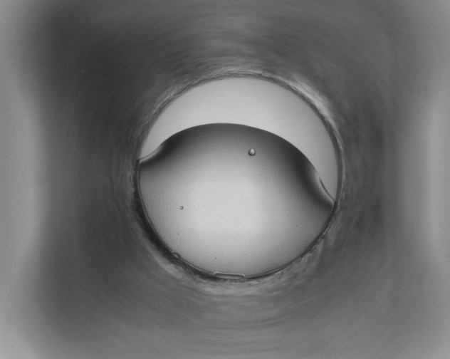 X0000111350009200907311001