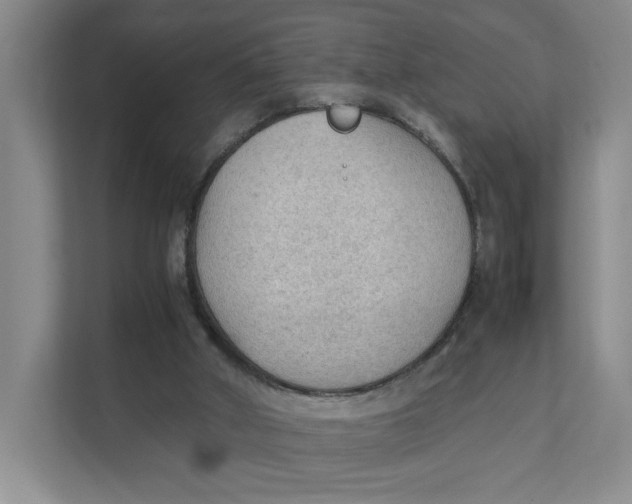 X0000111350010200907311001