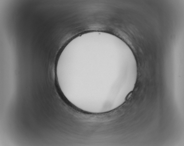 X0000111350011200907311001