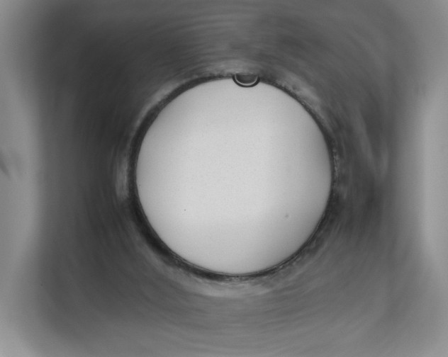 X0000111350012200907311001