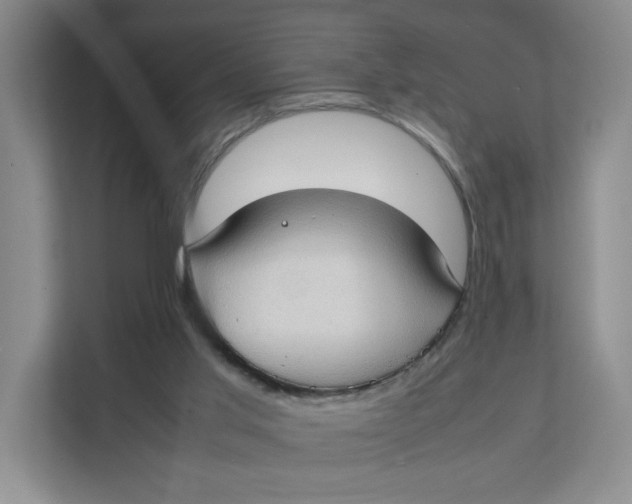 X0000111350013200907311001