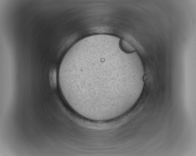 X0000111350014200907311001