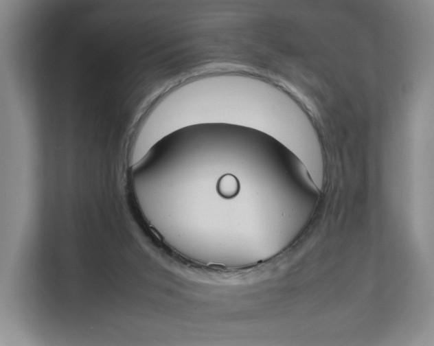 X0000111350015200907311001