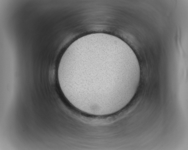 X0000111350016200907311001