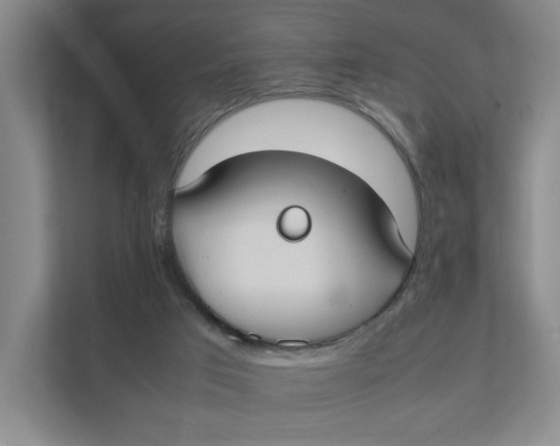 X0000111350017200907311001