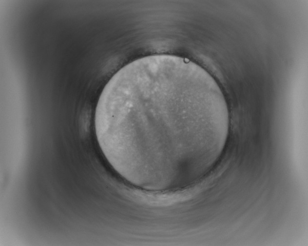 X0000111350018200907311001