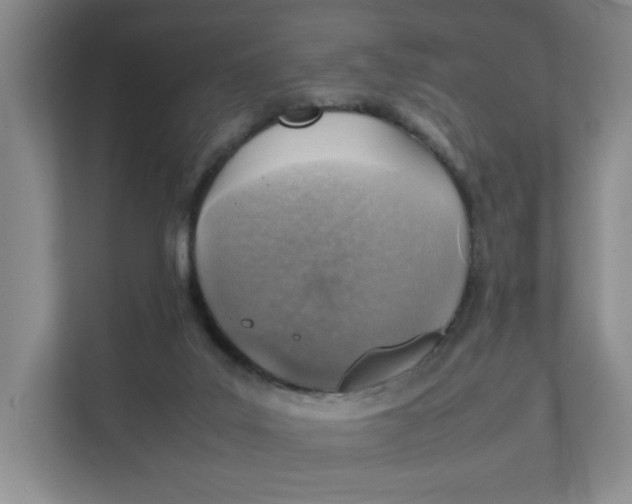 X0000111350019200907311001