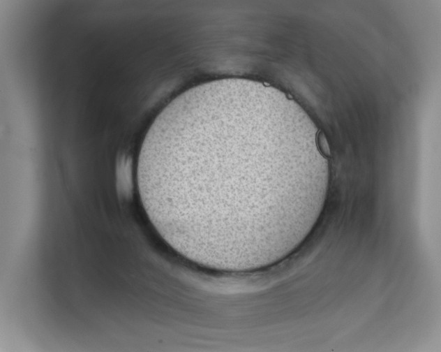 X0000111350020200907311001