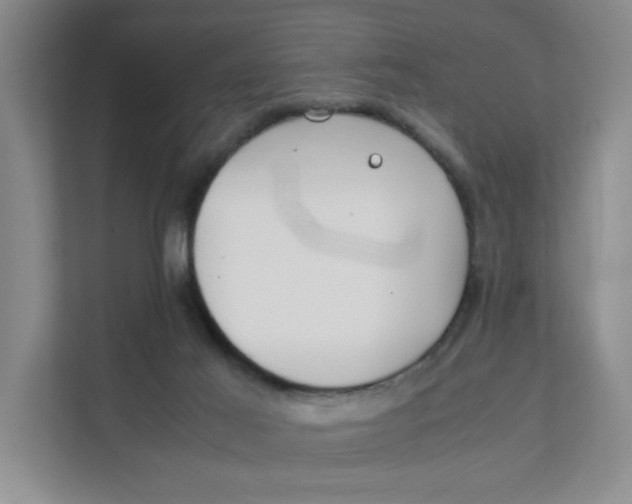 X0000111350021200907311001